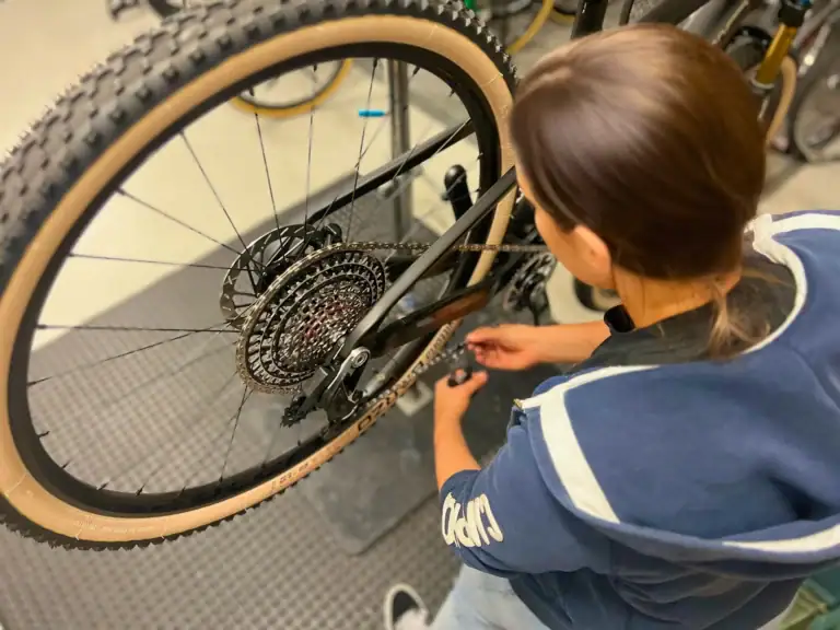 Repaeratur Velo